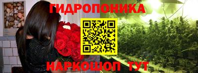 не бодяженный Новозыбков