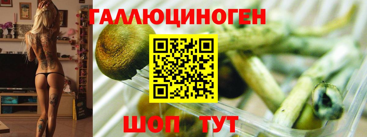 Псилоцибиновые грибы мицелий  Вход с VPN  Славянск-на-Кубани 