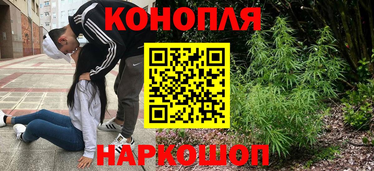 Каннабис White Widow Славянск-на-Кубани